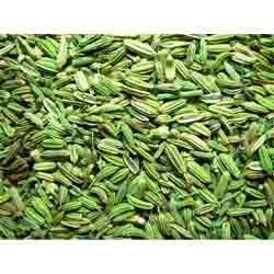 Manufacturers Exporters and Wholesale Suppliers of Fennel Seeds Patan Gujarat